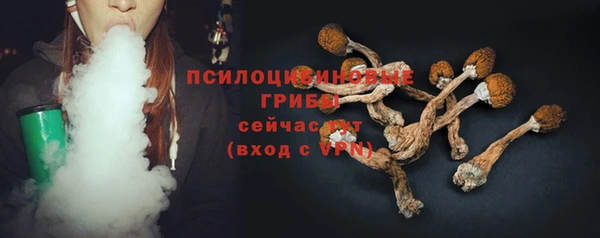 мяу мяу мука Алзамай