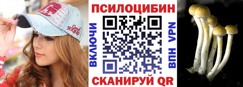 наркота  Миллерово  blacksprut ссылки  Псилоцибиновые грибы Cubensis 